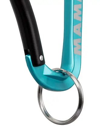 MAMMUT | Mammut Mini Moschettone Classic Keylock S | blau